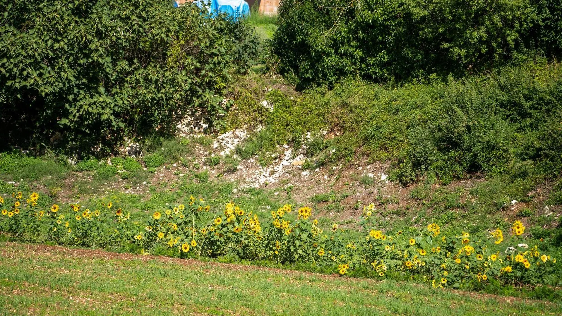 Lägenhet Apartman Kalic Štokovci Kroatien